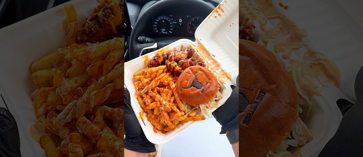 is these are fries or burger?