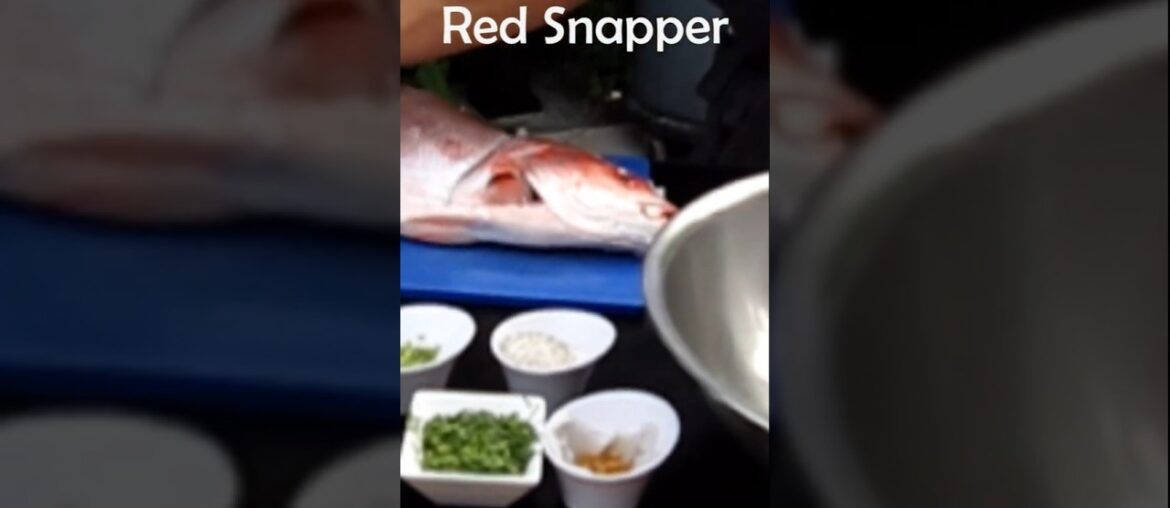 Fillet a Red Snapper #redsnapper #fish #ceviche #shorts #viralshorts #youtubeseo #gourmet #fish