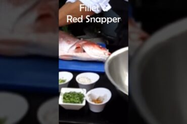 Fillet a Red Snapper #redsnapper #fish #ceviche #shorts #viralshorts #youtubeseo #gourmet #fish