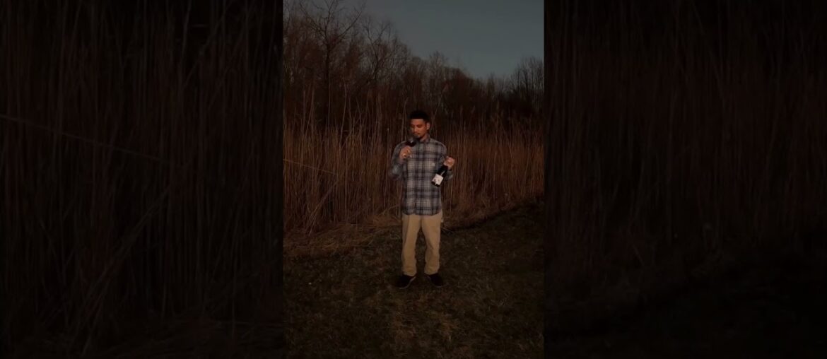 Karim Vionnet Gamay 🍷 Beaujolais Natural Wine