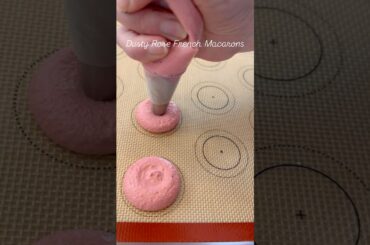 Dusty Rose French Macaron