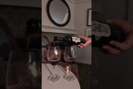 Hora by Cathiard Vineyard - Napa Valley Concentration Meets French Elegance