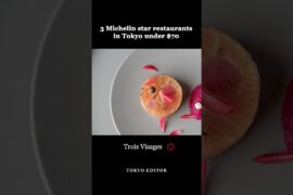 3 Michelin-Star Restaurants in Tokyo Under $70