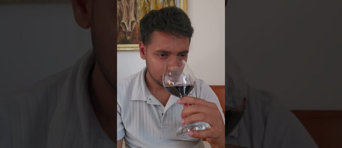 Affordable French Red Wine That Tastes Amazing 🇫🇷🍷