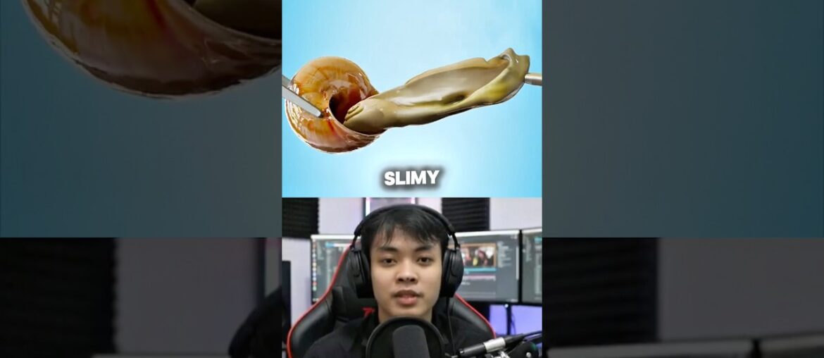 The Secret Life of Escargot 🐌✨