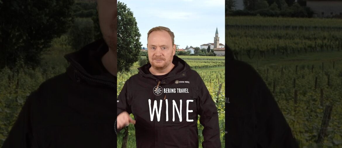 Wine, Cycling & Walking through Europe’s Vineyards 🍷🚴🥾 #wine