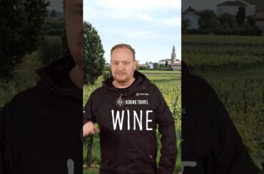 Wine, Cycling & Walking through Europe’s Vineyards 🍷🚴🥾 #wine