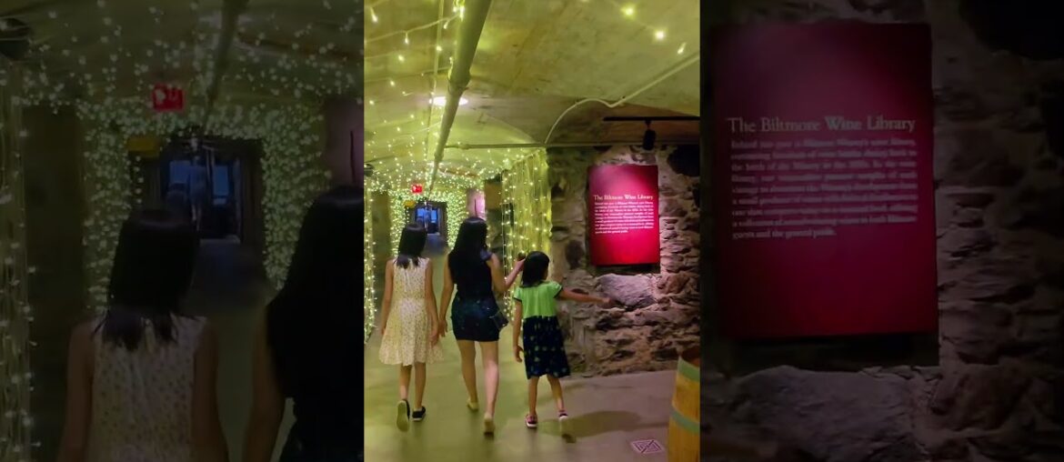Underground Wine Cellar at Biltmore Estate, North Carolina #winecellar #biltmore #northcarolina
