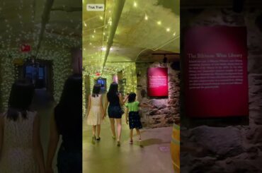Underground Wine Cellar at Biltmore Estate, North Carolina #winecellar #biltmore #northcarolina