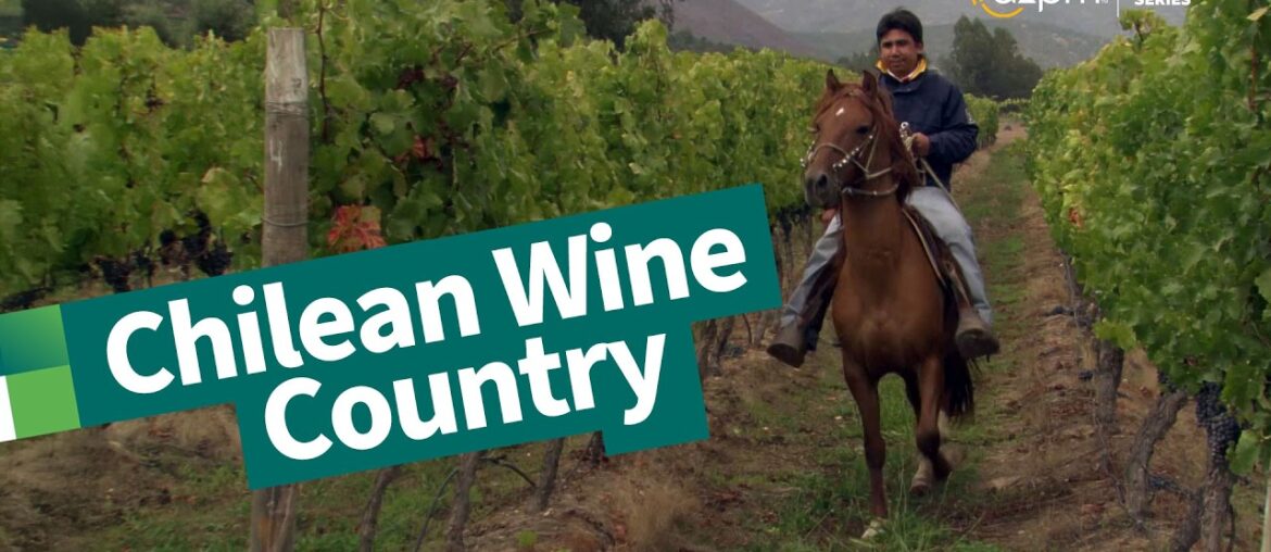 Chilean Wine Country | Exploring Santiago and beyond | Desert Speaks Chilean Wine Country | Exploring Santiago and beyond | Desert Speaks