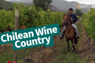Chilean Wine Country | Exploring Santiago and beyond | Desert Speaks
