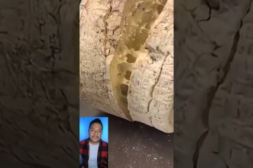 Por qué a las personas les gusta esto?? #queso #gastronomia #gourmet #food