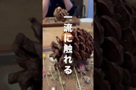 詳しくは、キャプションで♡#渋谷グルメ #渋谷ランチ #渋谷デート