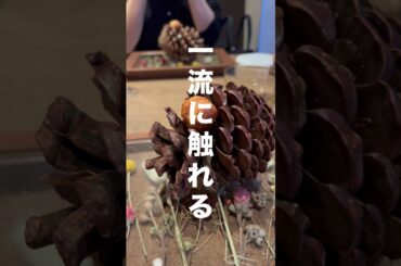 詳しくは、キャプションで♡#渋谷グルメ #渋谷ランチ #渋谷デート