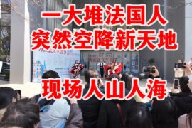 上海新天地挤爆了！法国生活节搬到新天地，人多到离谱。带大家逛逛现场，看看有些什么特别的。#上海海派法式生活节