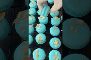 Baby Blue Coconut French Macarons 🥥✨ | ASMR Baking ✨