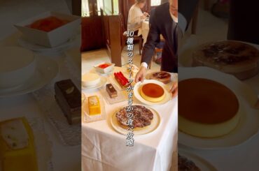 【代官山マダム・トキ】本格デザートが食べ放題の大人気老舗フレンチ🍽️✨