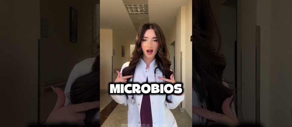 🇫🇷 LAS COMIDAS ESCOLARES EN FRANCIA SON UNA LOCURA #francia #france #french #curiosidades #shorts