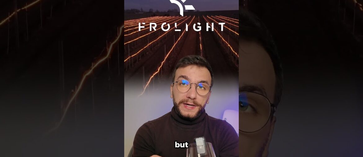 Pessac-Léognan Explained in 60 Seconds 🍇🇫🇷✨