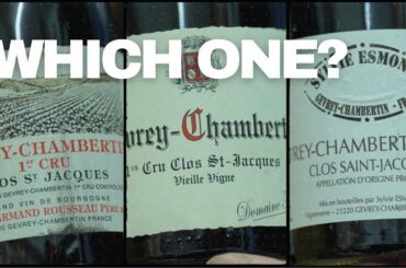 Rousseau, Fourrier, or Esmonin? Choosing Clos Saint-Jacques