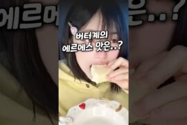 프랑스 버터 1대장 수준ㄷㄷ