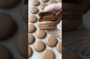 Chocolate French Macaron 🤎 Soft Inside • Almond Flour • ASMR #shorts