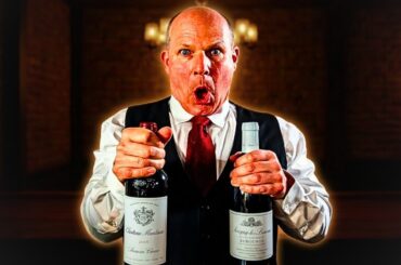 $90 Burgundy vs $183 Bordeaux — Only ONE Gets a 98