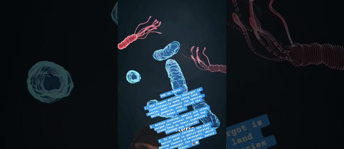 The French delicacy Escargot is traditionally made using land snails #zachdfilms