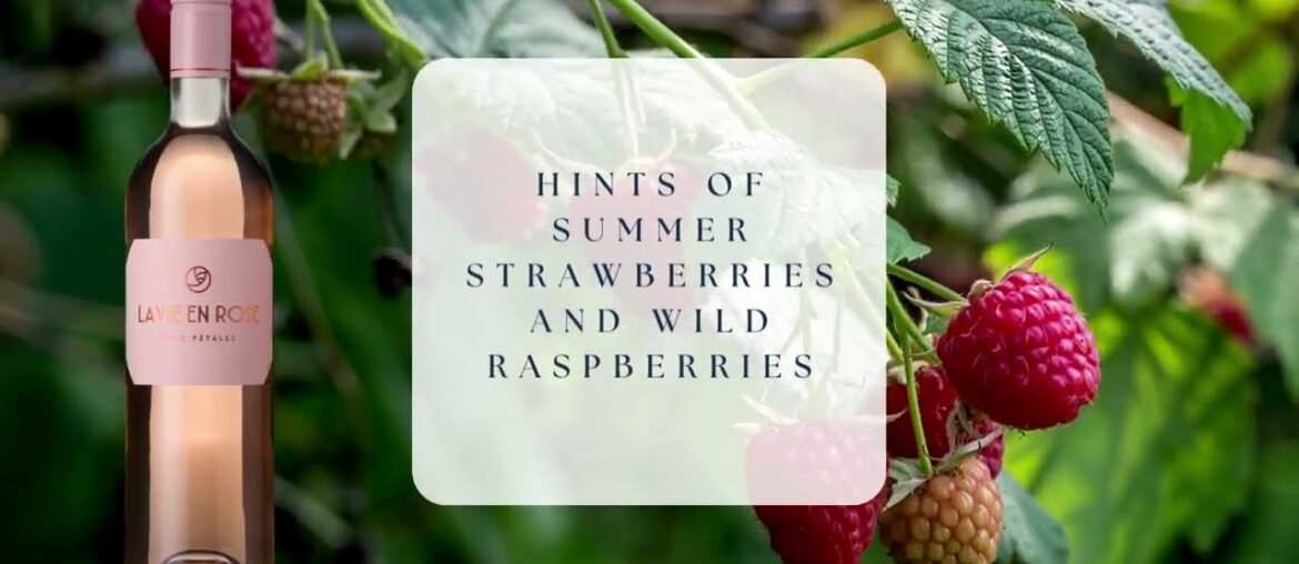 Affordable French La Vie En Rosé, Cinque Pétales, Cinsault Rosé, France