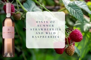 Affordable French La Vie En Rosé, Cinque Pétales, Cinsault Rosé, France