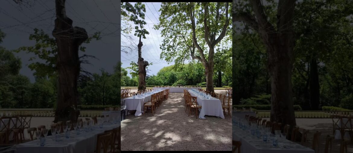 Cooking for a Wedding in France 🇫🇷 #food #wedding #fyp #shorts #france