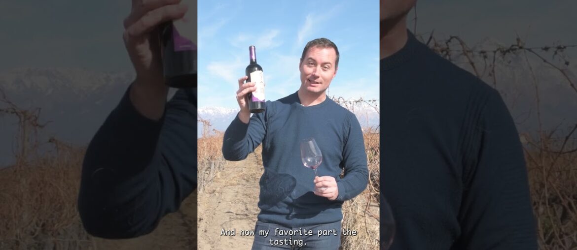 3SAPAS Malbec Reserva from the Andes 🍷 | Complex & Elegant Malbec 3SAPAS Malbec Reserva from the Andes 🍷 | Complex & Elegant Malbec