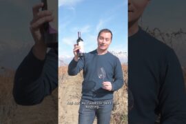 3SAPAS Malbec Reserva from the Andes 🍷 | Complex & Elegant Malbec