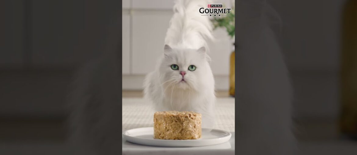 GOURMET™ - Une variété infinie de recettes exquises