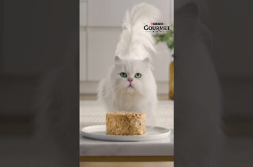 GOURMET™ - Une variété infinie de recettes exquises
