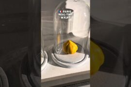 This french pastry is too perfect to be real 👀🇫🇷