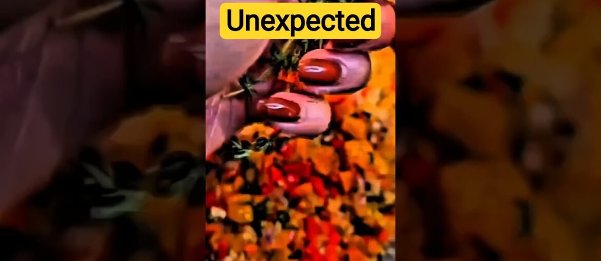 Unexpected Ratatouille Story From Farm To Fine Dining