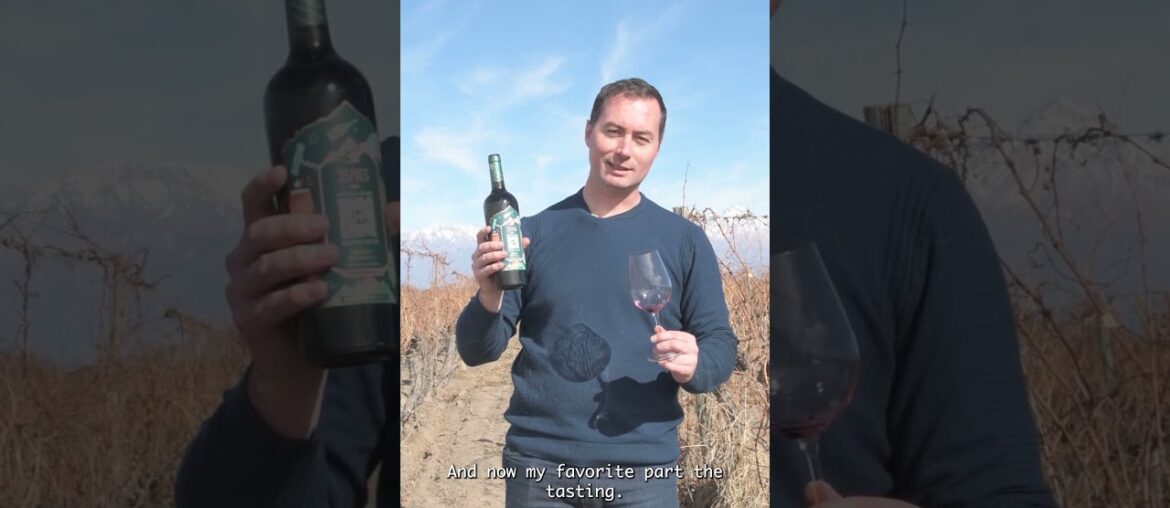 3SAPAS Malbec Gran Reserva from the Andes 🍷 | Rich, Structured & Elegant Malbec