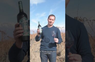 3SAPAS Malbec Gran Reserva from the Andes 🍷 | Rich, Structured & Elegant Malbec