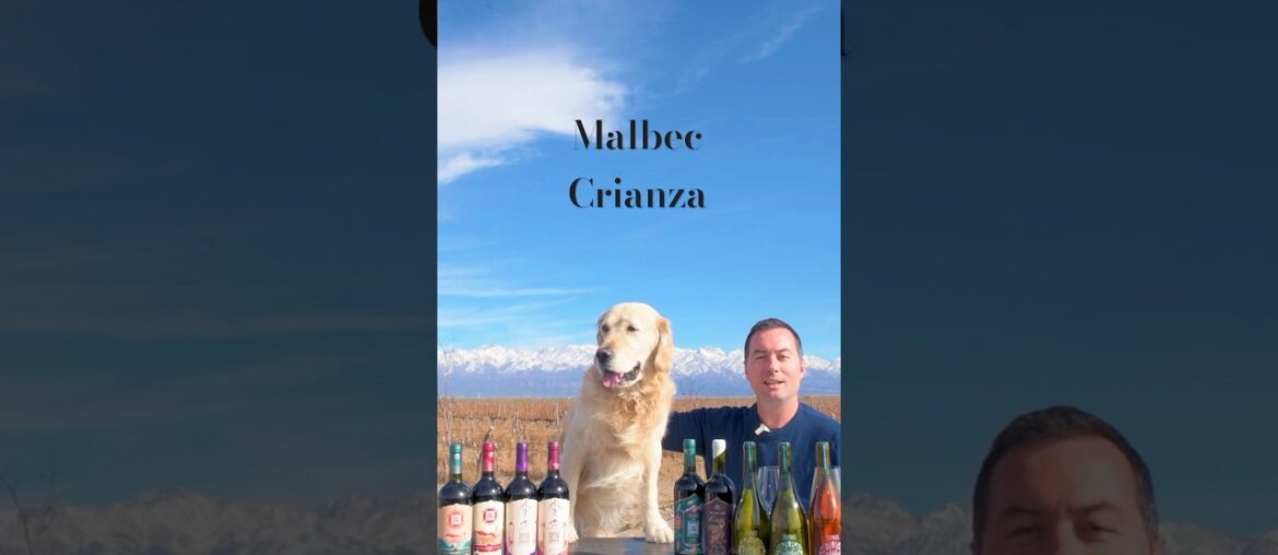 3SAPAS Malbec Crianza from the Andes 🍷 | Fresh & Vibrant Malbec