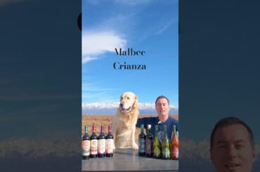3SAPAS Malbec Crianza from the Andes 🍷 | Fresh & Vibrant Malbec