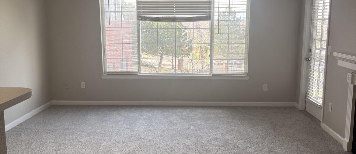 Please help with decorating!