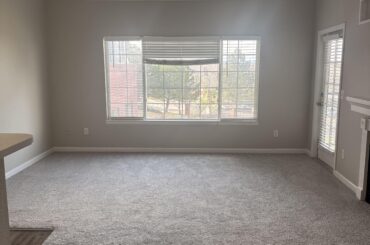 Please help with decorating!