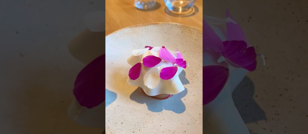 Gastronomy Lunch at Auberge de Ponceaux 🇫🇷 | French Fine Dining Experience