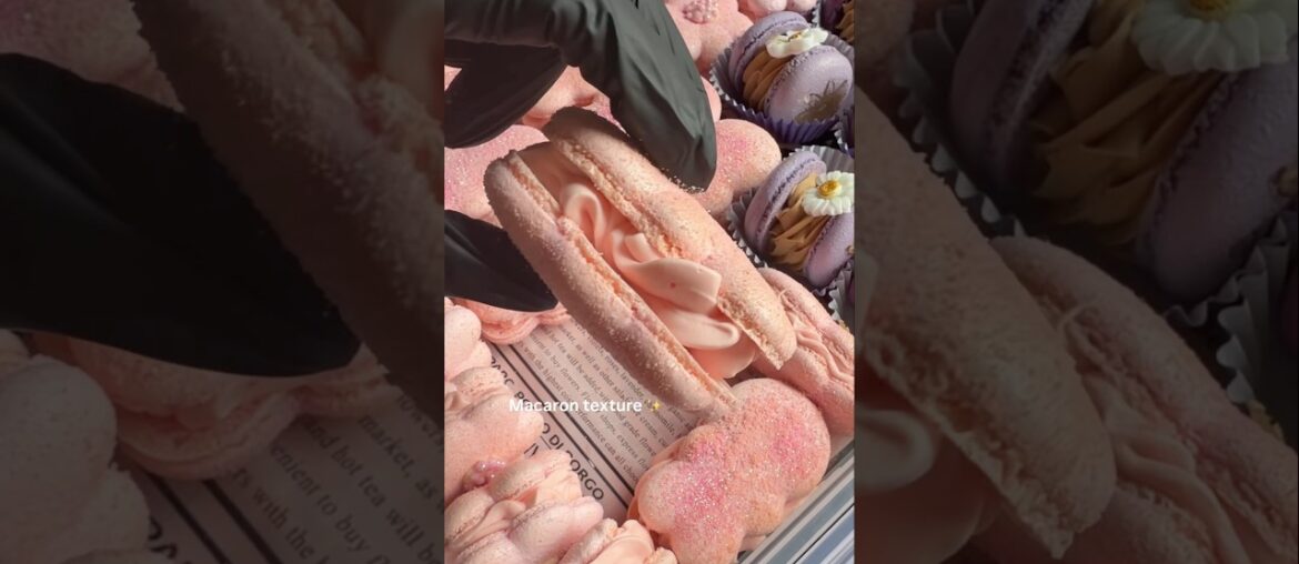 French Macaron Texture 💗 Bunny Macarons