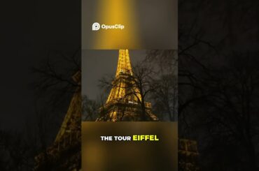 All the Pastries in PARIS I can: A Delicious French Food Adventure