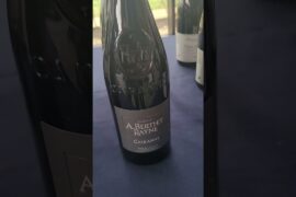 Wine Country France: A Journey Through Three Iconic French Wine Regions