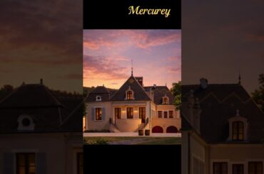 Mercurey: The King of Red Wine in Côte Chalonnaise 🍷🇫🇷