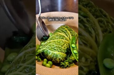 このロールキャベツ、レベルが違う。#ロールキャベツ#サヴォイキャベツ#フレンチ#ビストロ#春野菜#料理動画#シェフの技#飯テロ#foodporn#cooking#shorts