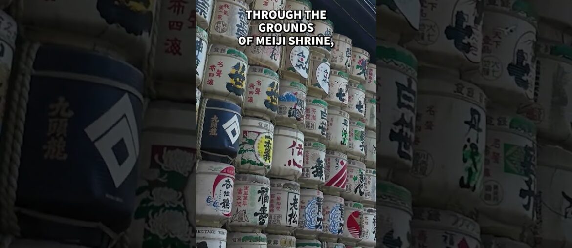 3 Meiji Shrine Facts That Will Blow Your Mind!